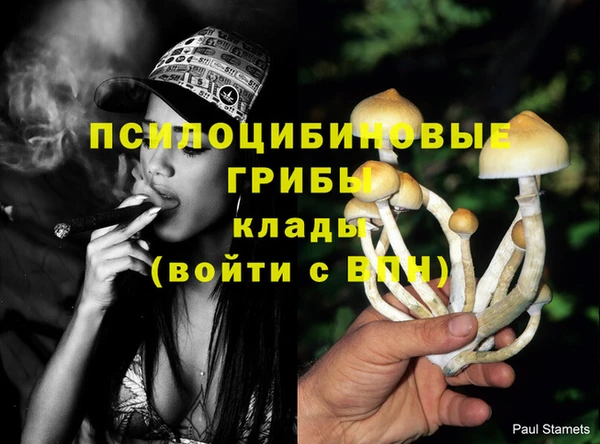 гашиш Белокуриха