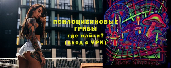 МДПВ Богородск